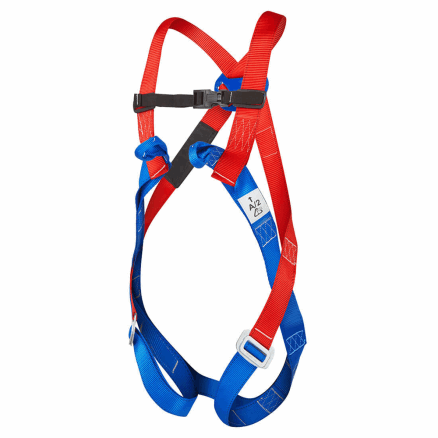 2 Point Harness