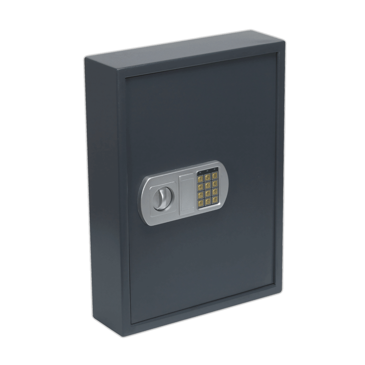Electronic Key Cabinet 100 Key Capacity